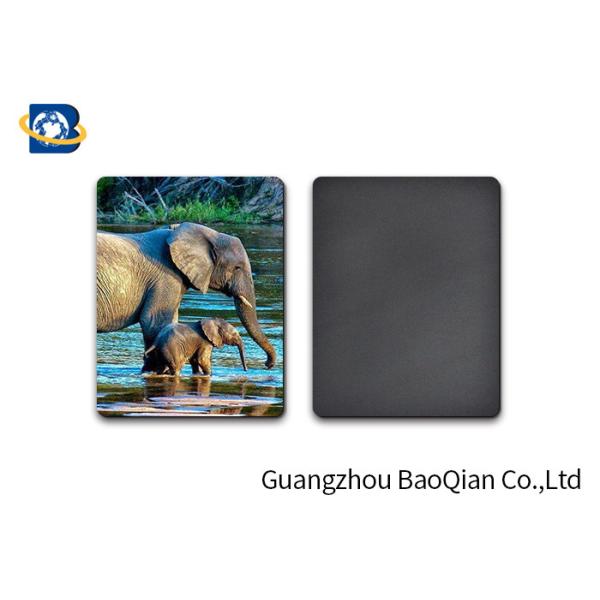Custom Animal 3D Fridge Lenticular Magnet PET Material Thickness 0.6mm SGS Approval