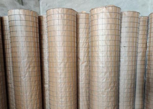 6X6cm 304 Galvanized Welded Wire Mesh Fence For Animal Enclosure