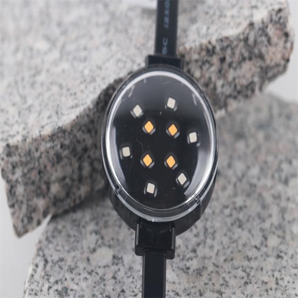 На открытом воздухе свет IP67 RGBW СИД пункта украшения 2W Smd3535 DMX512 DC24V 50mm