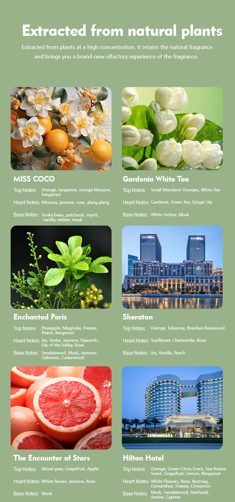 500ml Capacity Portable Aroma Diffuser Essential Oil Diffuser For Household Hotel