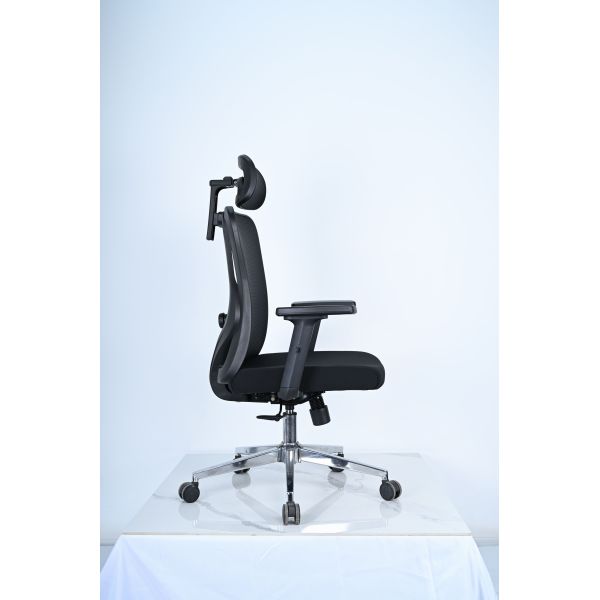 Executive Ergonomic Office Chair with 2D Armrest / 2D Back Lumbar Part