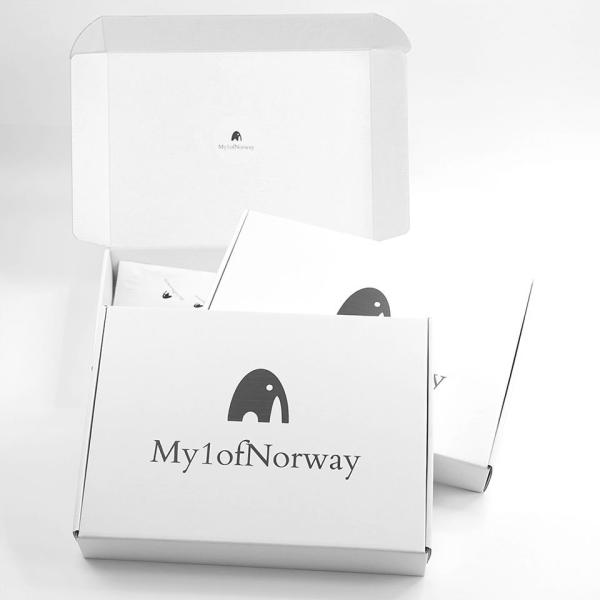 FREE SAMPLE Eco-Friendly Custom Logo Luxury Shoes Gift Packaging Cosmetic Corrugated Mailer Box Shipping Box Paper Box