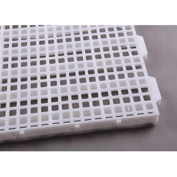 Пол полипропилена НАДЕЖДЫ HI пластиковый Slatted на птица 60x70cm 70x70cm