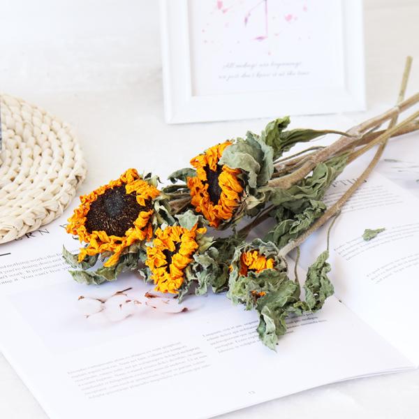 golden yellow 50cm Air Drying Sunflower Room Decor Bunches