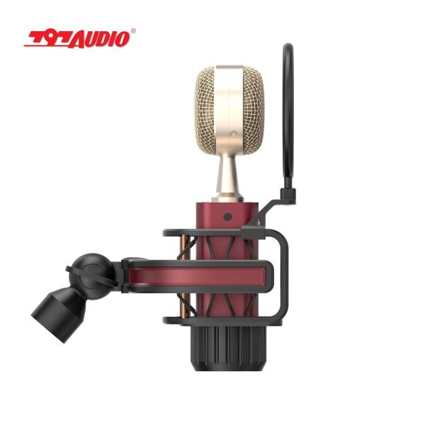 797AUDIO D501 Professional USB Microphone Condenser Cardioid Youtuber Microphone for PC Laptop with Shock Mount