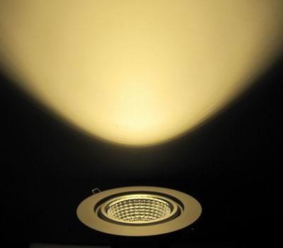 30W COB LED Downlight