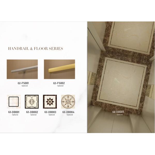 Небольшой тип лифт тракции нержавеющей стали подъема виллы монарха дома частный строя