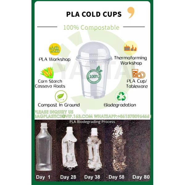 24oz PLA Eco-Friendly Cup With Lid 100% Compostable, Disposable Party Cups Transparent Disposable 8oz 12oz 16oz