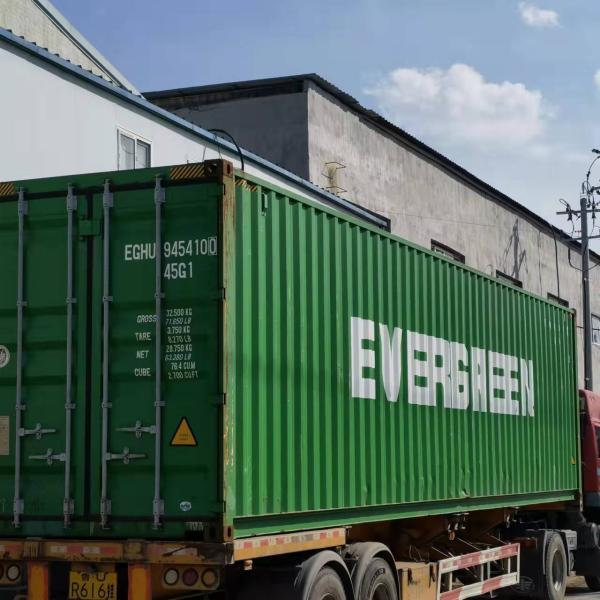 White Black Blue Disposable Hair Nets Nylon Hair Net Cap / Hairnet / Mesh