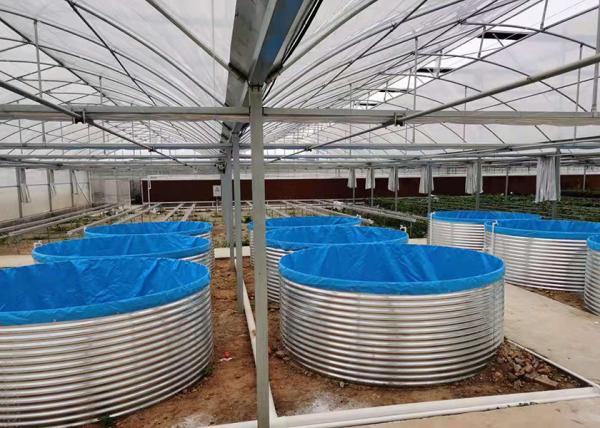 Customized Galvanized Fish Pond High Capacity For Commercial Farming