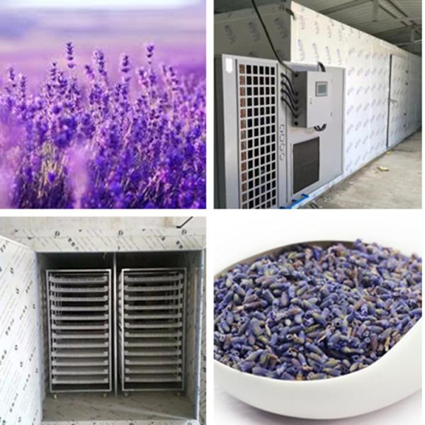 Flower Rose Cherry Chrysanthemum Tea Leaf Dryer Heat Pump Dehydration Spice Equipment