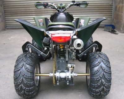 Juventude ATV de competência da estrada 250cc da exploração agrícola e de floresta, velocidade máxima 46.6mile/h