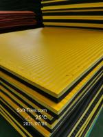 Competition Grade Puzzle EVA Mat Tatami For Judo Taekwondo
