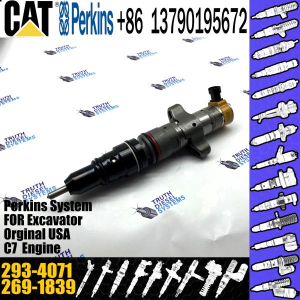 2934071 Perkins Diesel Injector CAT Caterpillar Diesel Engine Parts