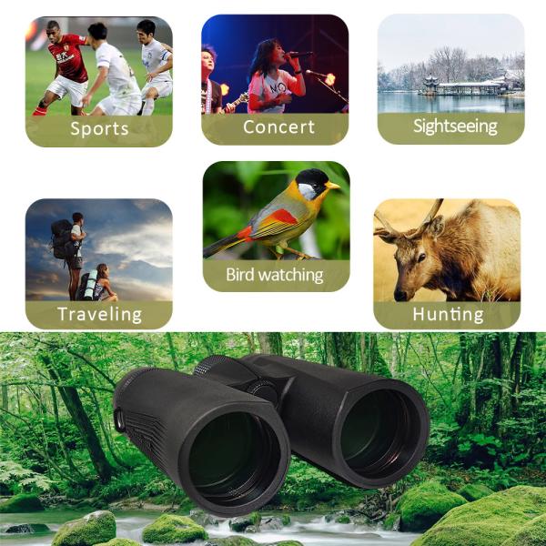 Bird Watching 10X42 HD Binocular Auto Focus Telescope With Bright Large View