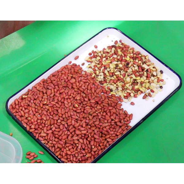 Умная машина сортировщицы цвета 3T/H с датчиком CCD Тошиба