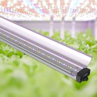 150cm 70W style barre LED lumières de croissance Daisy Chain Verticale Verticale Bar de lumière de croissance