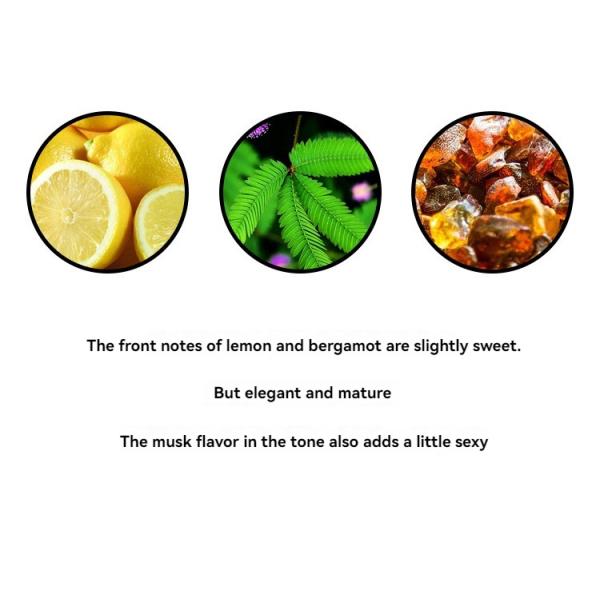 50ml Regular Size Fresh Flower Scented Long-Lasting Eau de Toilette Body Perfume Spray