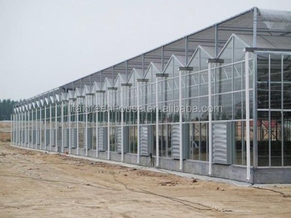 Multi-Span Agricultural Greenhouses Modern Tech Glass Greenhouse for Agriculture