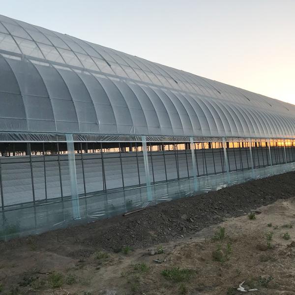 Estufas agrícolas comerciais de grama com sistema de aquecimento eléctrico ou de água