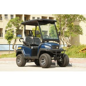 Electric Golf Buggy