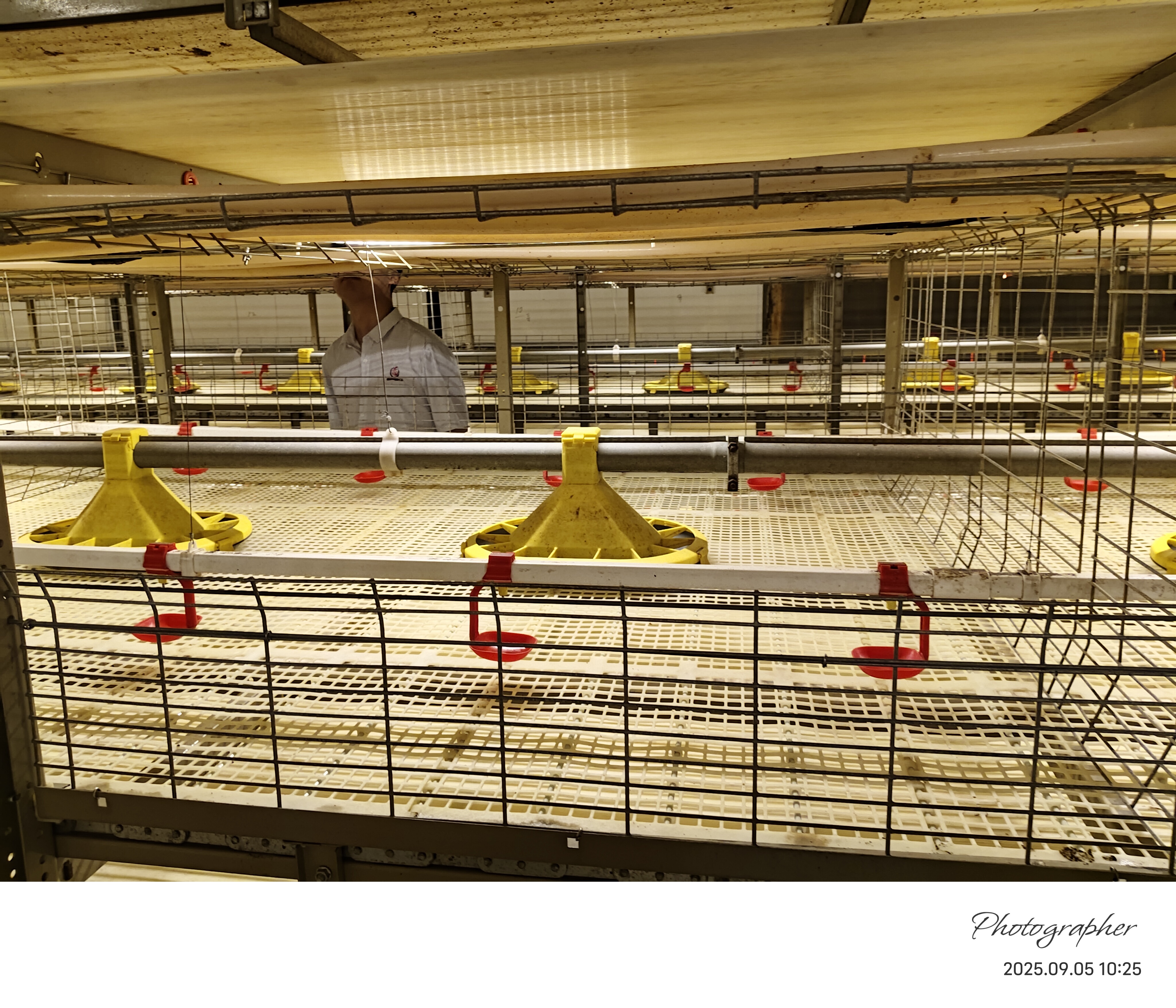 Qingdao Suwang Animal Husbandry Equipment Co., Ltd.