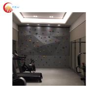 Estática da parede da escalada das crianças artificiais internas anti para o parque do trampolim