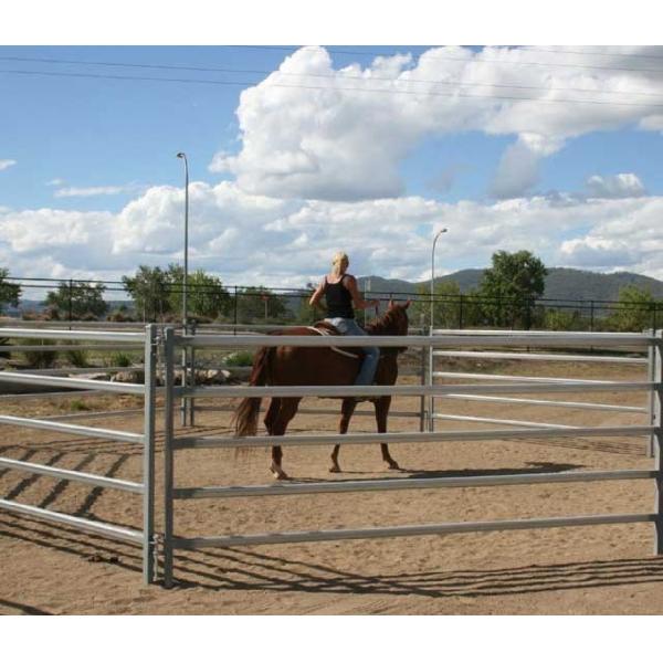 Steel 10ft Tall Horse Round Yard Panels With Powder Coated