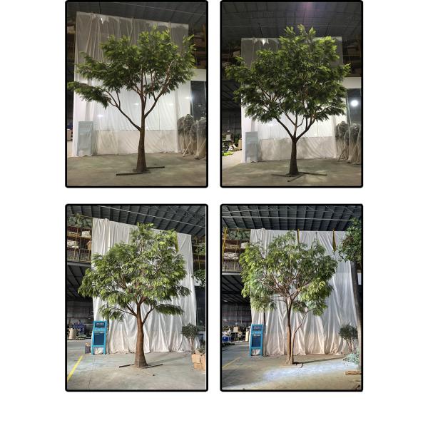 Anti UV Artificial Babul Trees For Outdoor Landscape Evergreen 5.5 Meters Fiber Glass