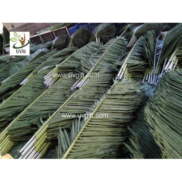 UVG 2 meters wholesale material uv artificial palm leaves for park decoration PTR041