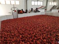 A linha de processamento água do tomate do Sus 403 da produção 15kw do molho recicla