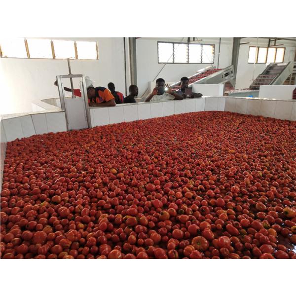 Производственная линия кетчуп томата SUS304 50T/H 440V