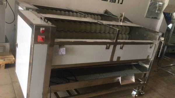 Apricot Peach Fresh Potato Ginger Washing And Peeling Machine Kitchen 3 KW