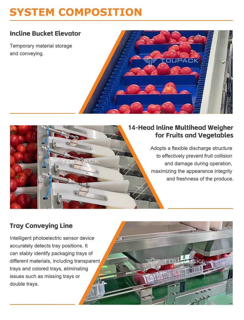 Linear Weigher Automatic Cherry Tomato Fruit Vegetable Tray Sealing Packaging Line With High Precision Weighing System