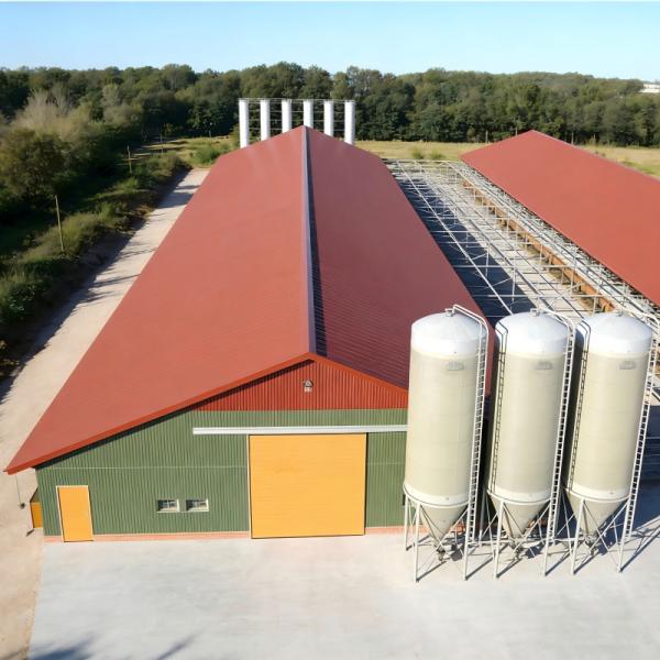 Commercial Broiler and Layer Chicken Farm High-Intensity Corrosion-Resistant Designed Chicken house