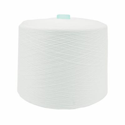 20/2 30/2 20/3 30/3 40/2 50/2 100% Polyester Spun Yarn For Sewing Thread