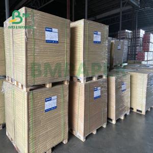 o único PE 180gsm + 18gsm lateral revestiu o papel do copo cobre impermeável