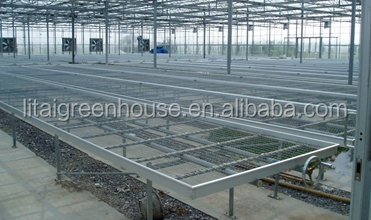 Настраиваемый размер покрытый пленкой птицефабрика теплица длина 30-100 м с пленкой