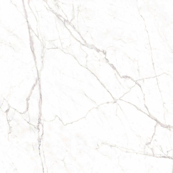Captivating Modern 800x800mm Stone Imitation Porcelain Tiles For Upscale Living Spaces