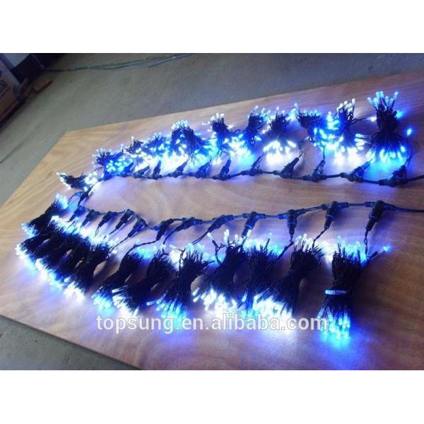 super bright 24v fairy indoor christmas lights curtain for building