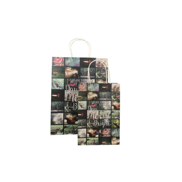 Decorative Luxury Christmas Packaging , Fancy Printed Paper Shopping Bags