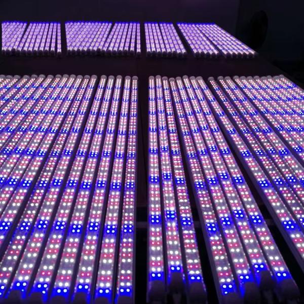 White LED Grow Light 6500K 5000k 460nm 660nm 3FT 4FT T8 LED Tube Lights For Growing Plants