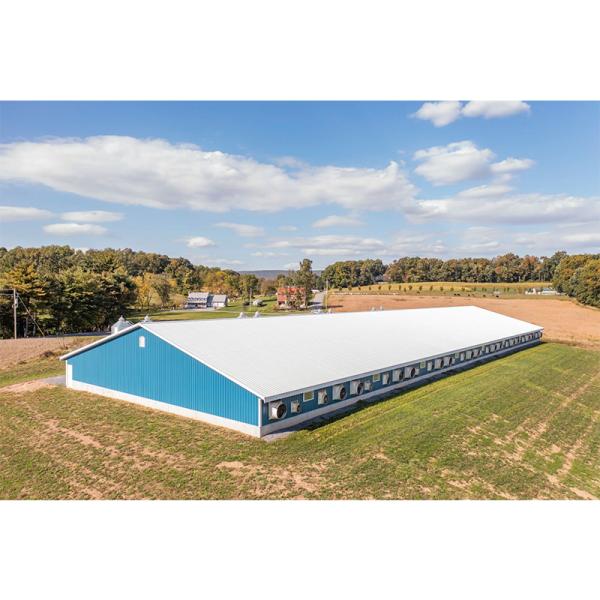 Agricultural Steel Prefabricated Farm Building Chicken House