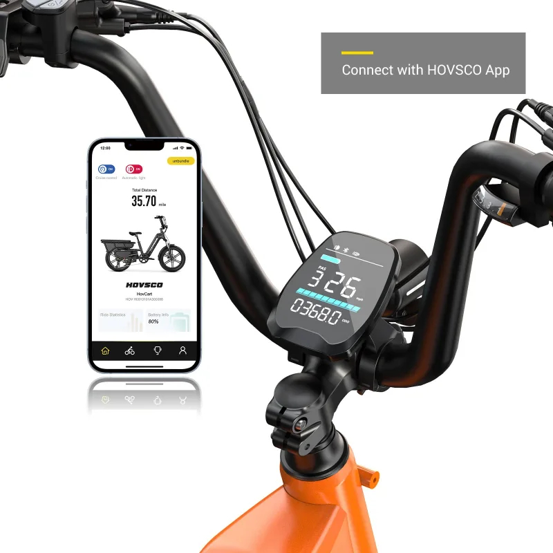 German Warehouse HovCart EU/US/AU Stock Electric City Cargo Bike for Two Children with Protection Seat Torque Sensor Fat Tire