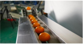 Fruit And Vegetables Multi Packaging Machine 100-230 Bag / Min