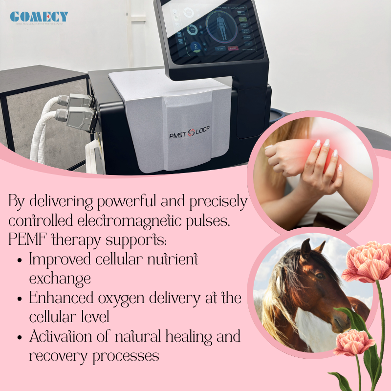 High Intensity PEMF Therapy Device with Human and Animal Treatment Programs