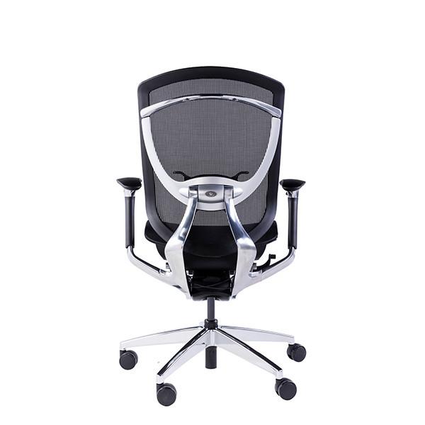 IFIT Black Ergonomic Desk Chair With Lumbar Support Adjustable Tilting