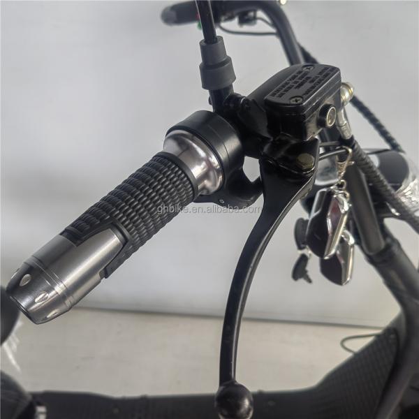 18 inch Adult Unisex Chopper Electric Scooter with Rear Hub Motor and Single Speed