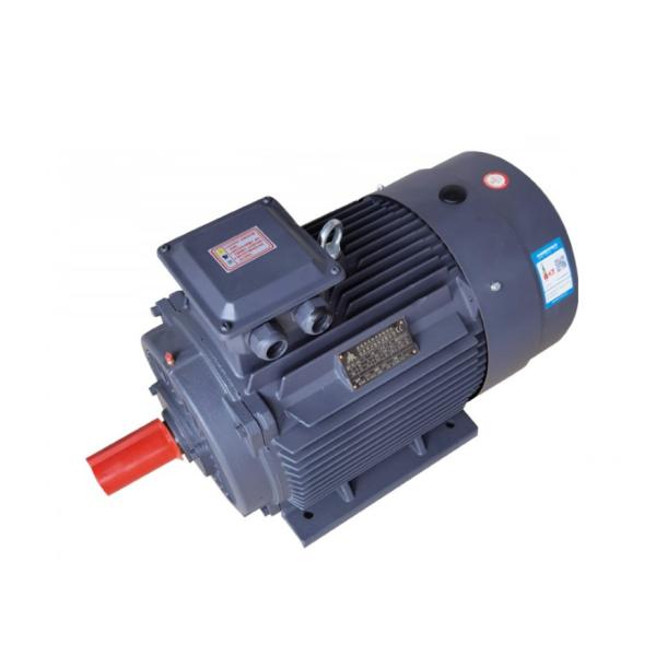 Explosion Proof High-Voltage Variable Frequency Speed Three-Phase Asynchronous Motor
