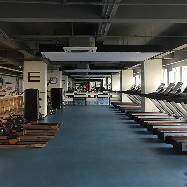 Durable 20mm 25mm Floor Protector Mat Easy Clean Gym Rubber Tiles